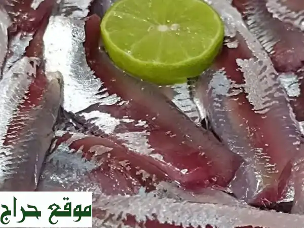 أشهى فسيخ وسردين وبساريا بيتي - طعم لا يقاوم!