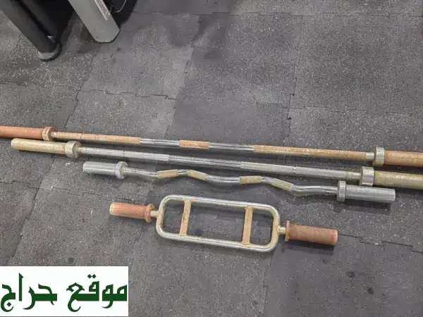 💪 ستند دانبل متكامل + أقراص وزن إضافية: بناء جسمك...