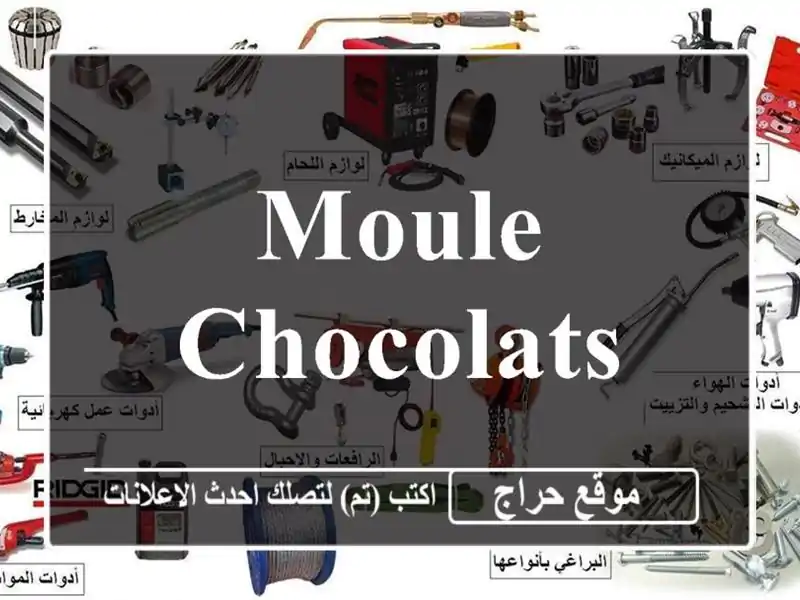 Moule chocolats