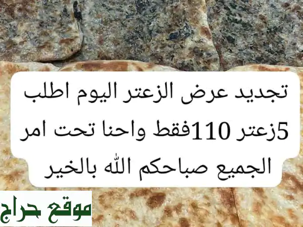 أشهى أطباق منزلية صحية في الشارقة - طعم البيت ونظافته!