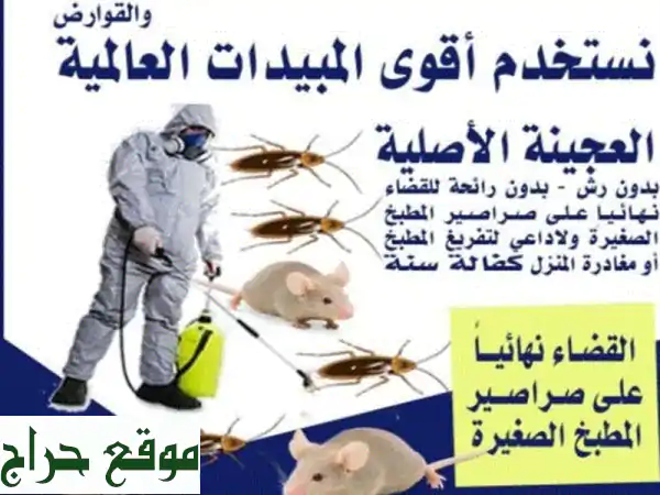 مكافحة حشرات بالرياض: تخلص من الحشرات نهائياً مع...