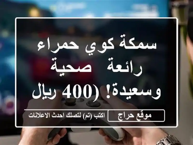 سمكة كوي حمراء رائعة - صحية وسعيدة! (400 ريال)