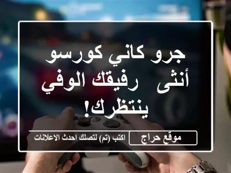 جرو كاني كورسو أنثى - رفيقك الوفي ينتظرك!