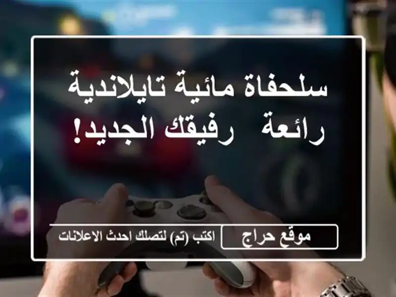 سلحفاة مائية تايلاندية رائعة - رفيقك الجديد!