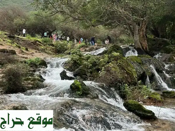 Nature