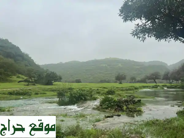 متواجد سعودي في صلالة طول الموسم اللي يبغا تنقل من السكن الى الأماكن السياحية يتواصل معي حق التنسيق ...