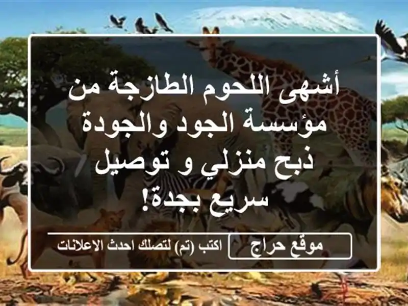 أشهى اللحوم الطازجة من مؤسسة الجود والجودة - ذبح...