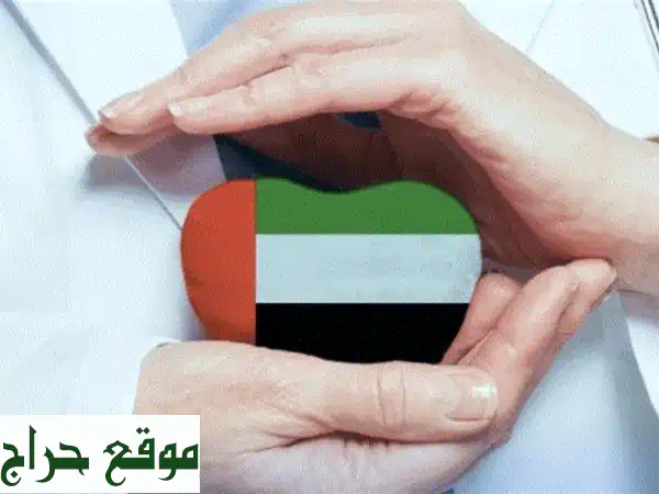 تأمين سيارات وصحي شامل في أبوظبي | أسعار منافسة...