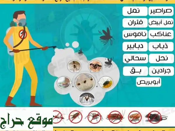 اللمسة الرفيعة: تنظيف وتعقيم احترافي في أبوظبي...