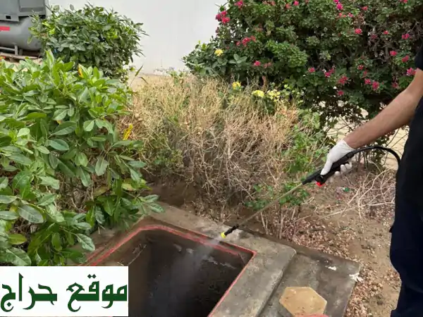 ودّع الحشرات نهائيًا! مكافحة حشرات فعّالة وآمنة مع [اسم الشركة]