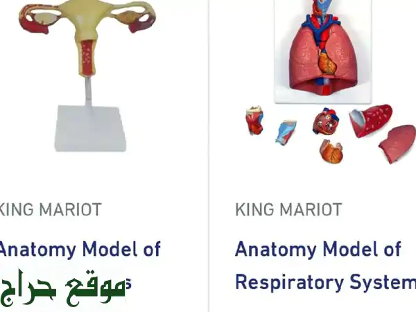 أفضل معدات طبية وعلمية | King Marriott: خبرة 20 عامًا
