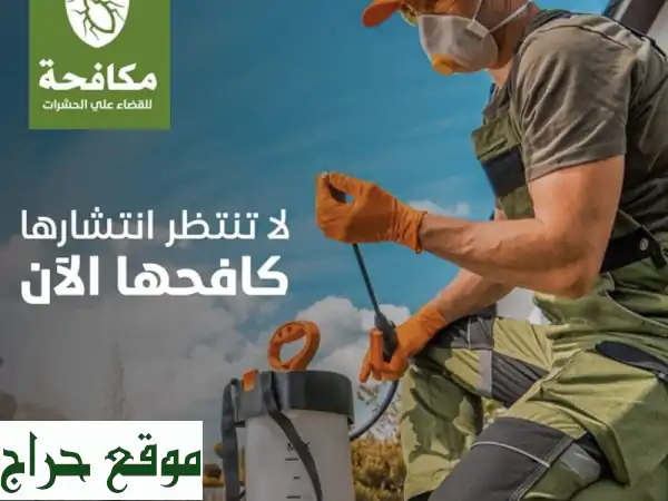 رش مبيدات حشرية في الرياض يتطلب اتباع اجراءات معينة لضمان السلامة والفعالية. يمكن التواصل مع الجهات ...