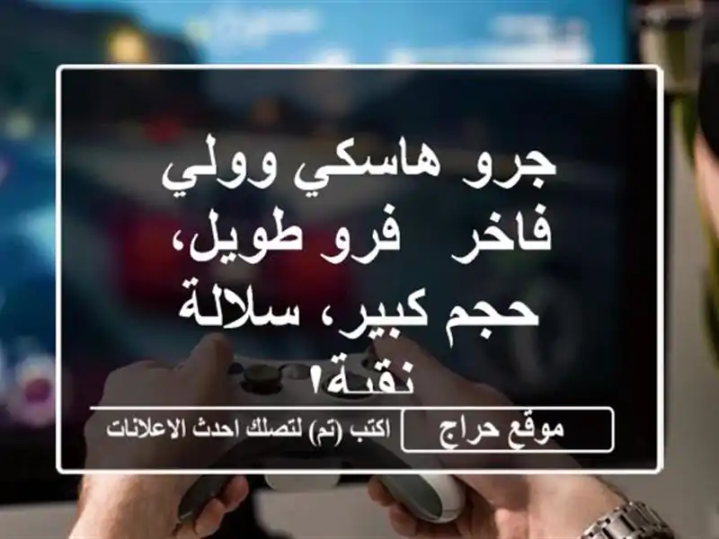 جرو هاسكي وولي فاخر - فرو طويل، حجم كبير، سلالة نقية!