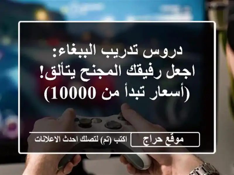 دروس تدريب الببغاء: اجعل رفيقك المجنح يتألق!...