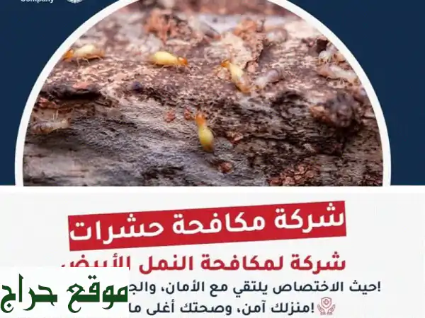تنظيف شامل ومكافحة حشرات احترافية | افضل شركة تنظيف في منطقتك