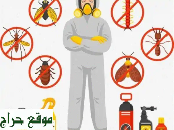 ودّع الحشرات نهائيًا مع سماء الشرق: مكافحة آمنة وفعّالة بالدمام، الخبر، والقطيف