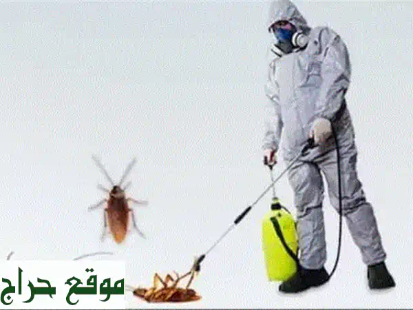 ودّع الحشرات نهائيًا مع سماء الشرق: مكافحة...