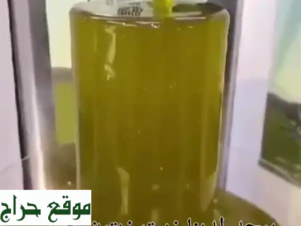 زيت أًدلبي سوري بكر ممتاز - طعم أصيل، صحة لا تُقاوَم