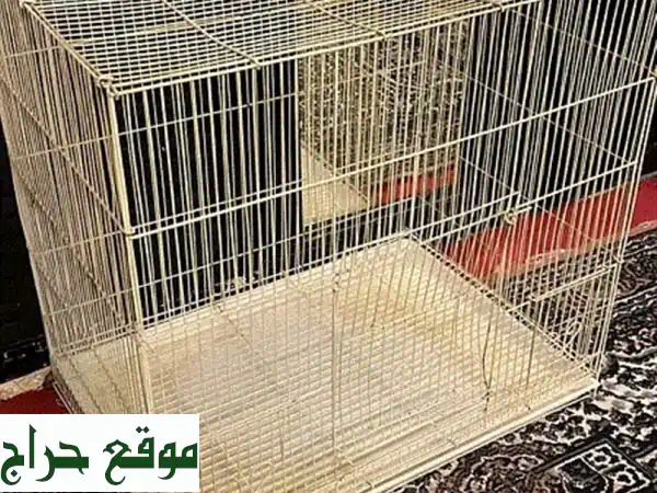 قفص طيور فاخر: منزل مريح لصديقك المجنح 🕊️