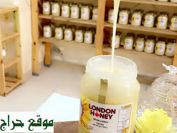 عسل القطن الكازاخستاني: علاج طبيعي فعال لقرحة...