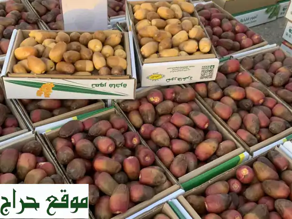 للبيع جميع التمور وتوصيل جميع المناطق منا صيف + مفتل + جلكسي جميع الأنواع