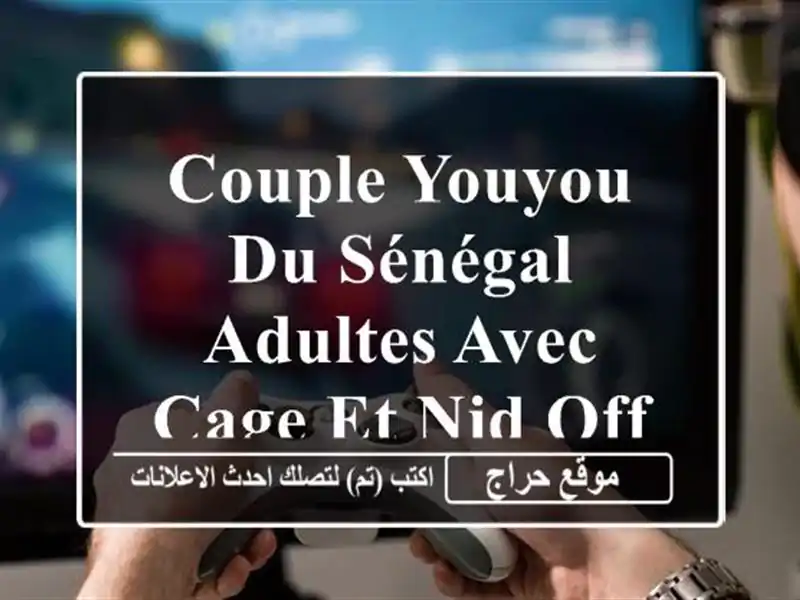 Couple YOUYOU du Sénégal adultes avec cage et nid offerts