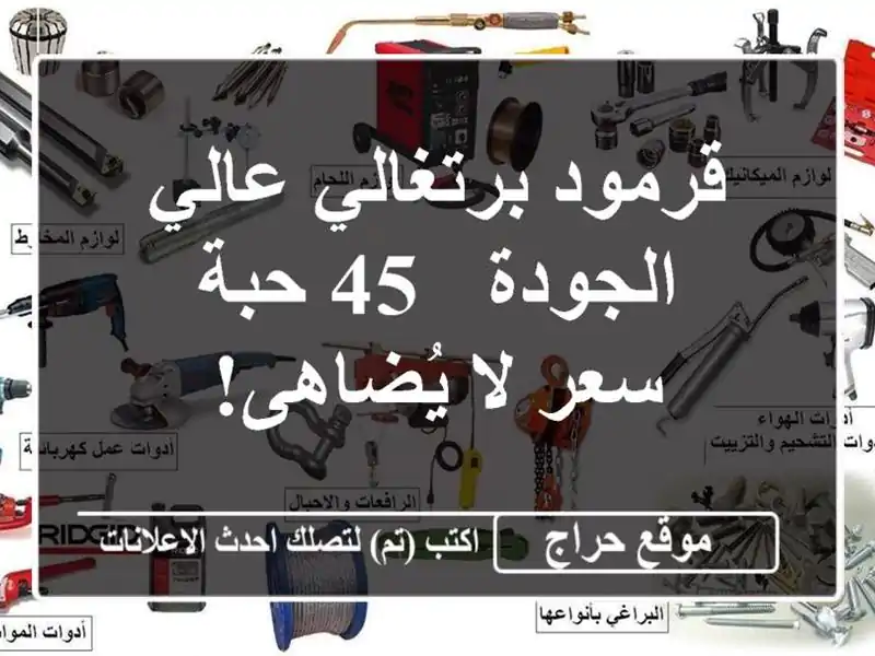 قرمود برتغالي عالي الجودة - 45 حبة - سعر لا يُضاهى!