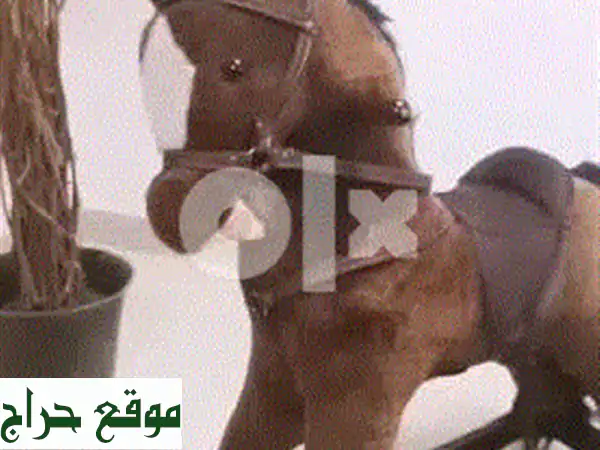 مقعد سيارة آمن ومريح لأطفالك الصغار -  راحة البال لكِ، ومتعة لأطفالك!
