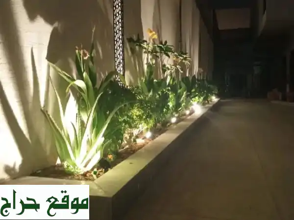 أزهارٌ تنبض بالحياة: مشتلنا يُزهر بمنتجاته...