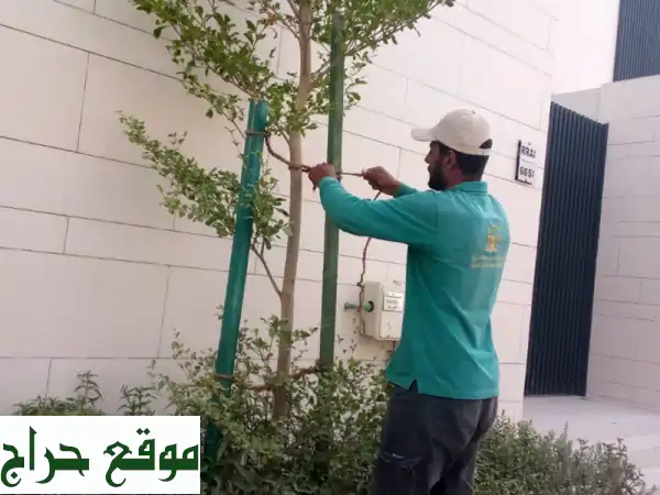 شركة أيلاف العاصمة لخدمات اللاند سكيب وصيانة...