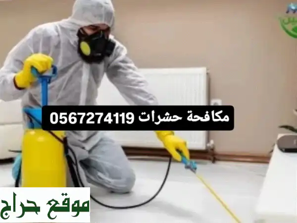مكافحة حشرات متكاملة بالمدينة المنورة - تخلص...