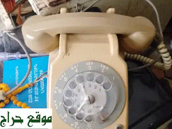 رؤوس Bossons Chalkware إنجليزية عتيقة - 19 سم - سعر نهائي!