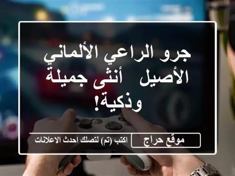 جرو الراعي الألماني الأصيل - أنثى جميلة وذكية!