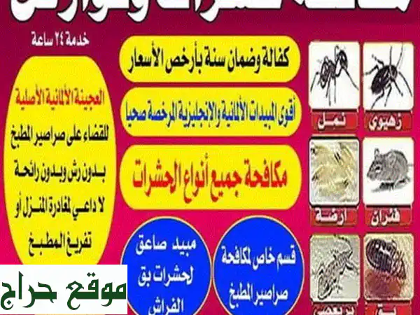 مكافحة حشرات منزلية آمنة وفعالة | تخلص من...