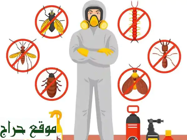 مكافحة حشرات وقوارض بجازان | افضل شركة متخصصة -...