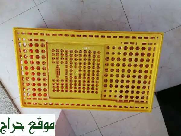 صناديق دجاج صيني عالية الجودة - كميات كبيرة متوفرة...