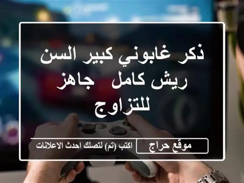 ذكر غابوني كبير السن - ريش كامل - جاهز للتزاوج