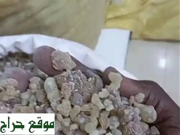لبان سوداني أصلي - 18 طن بسعر مميز!  (خصم خاص)