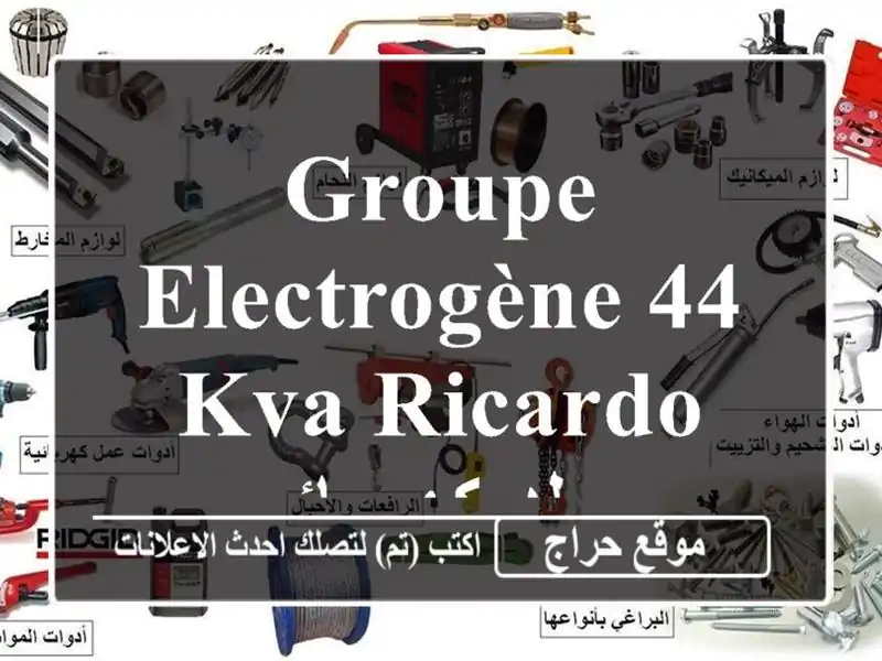Groupe Electrogène 44 KVA RICARDO مولد كهربائي