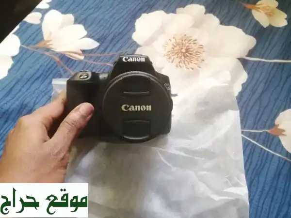 كاميرا Canon 250D + صندوق إضاءة 200W - بحالة ممتازة! (سعر مغر!)