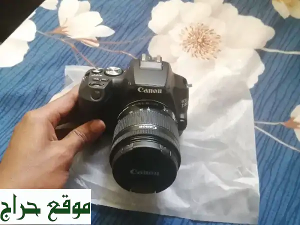 كاميرا Canon 250D + صندوق إضاءة 200W - بحالة ممتازة! (سعر مغر!)