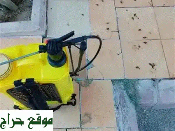 مكافحة حشرات بالرياض - تخلص نهائيًا من الحشرات الضارة! 🕷️🐜