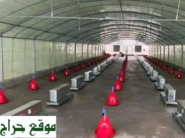 أفضل فني تركيب بيوت محمية وبيوت دواجن في منطقتك!...
