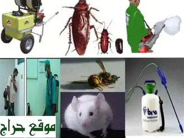 مكافحة حشرات بالرياض - تخلص نهائيًا من الحشرات...