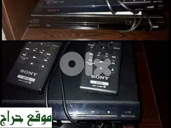 DVD Campomatic 7: تجربة مشاهدة لا تُنسى على شاشة تلفزيونك!