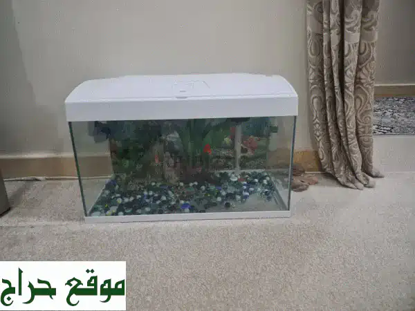 حوض أسماك أبيض أنيق وخفيف الوزن -  ثمن مغرٍ! (مع...
