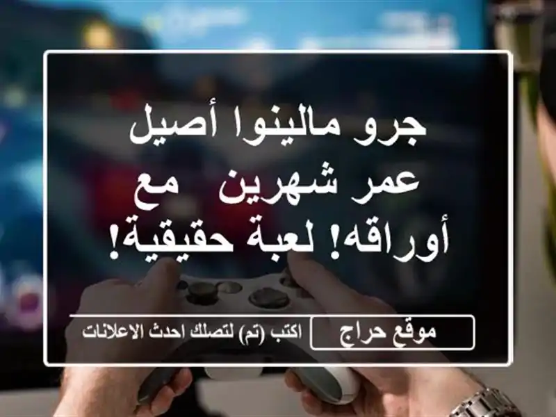 جرو مالينوا أصيل - عمر شهرين - مع أوراقه!  لعبة حقيقية!