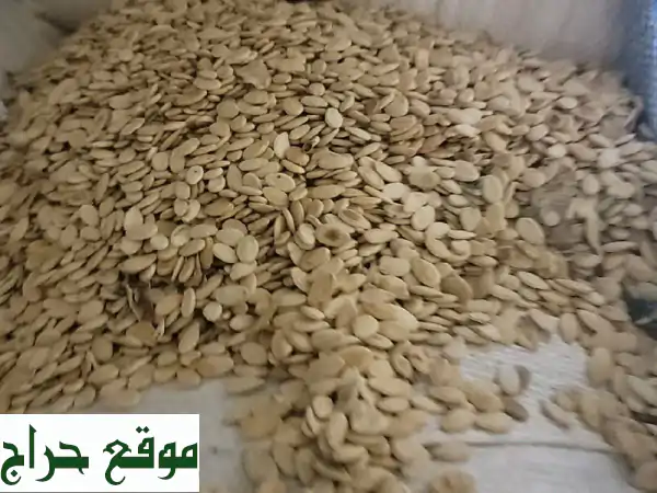 لب بطيخ سوداني جامبو للتحميص - عروض جملة في عجمان (الجرف) - 80 طن متوفرة!
