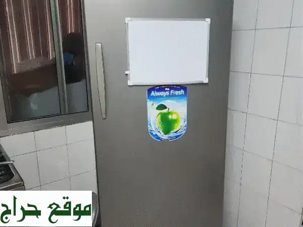براد كونكورد بارد وموفر! (مستعمل بحالة ممتازة)