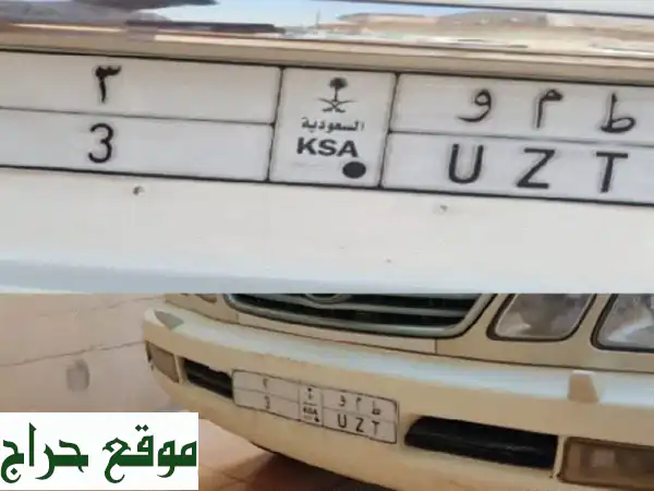 لوحة فردي خصوصي مميزة (3 ط م، 3 أوراق) - جاهزة للنقل!